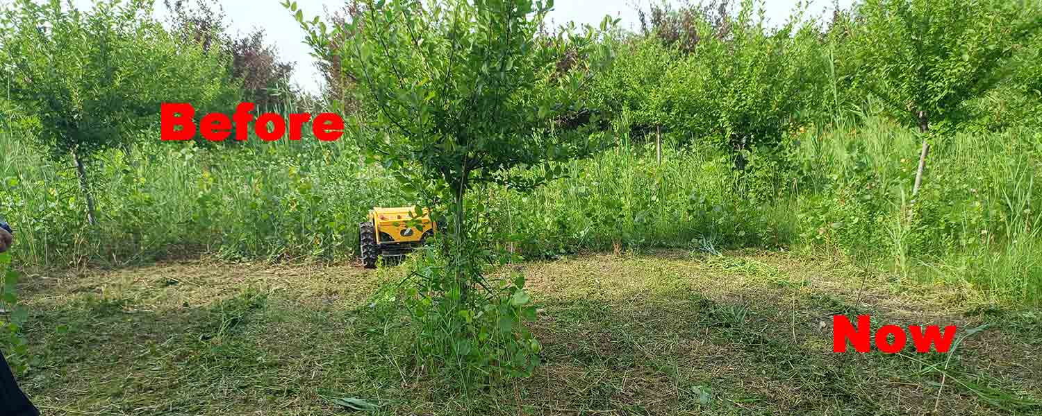 Remote Controlled Lawnmower